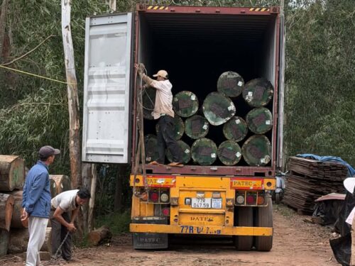 6f1ad996-6315-4f6f-864d-cacf2366facf