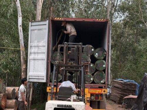 b9c14576-d90d-4203-801f-64a7db076091