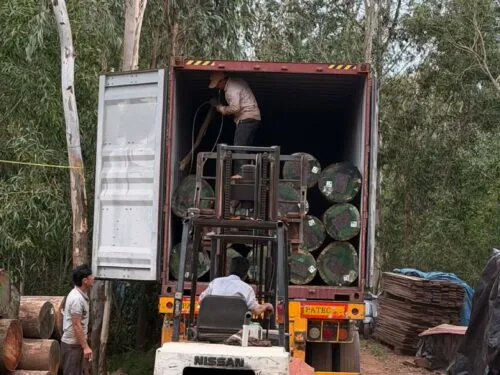 b9c14576-d90d-4203-801f-64a7db076091