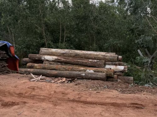 d96b20ca-2d31-495b-86d0-18c4e6dac1ca