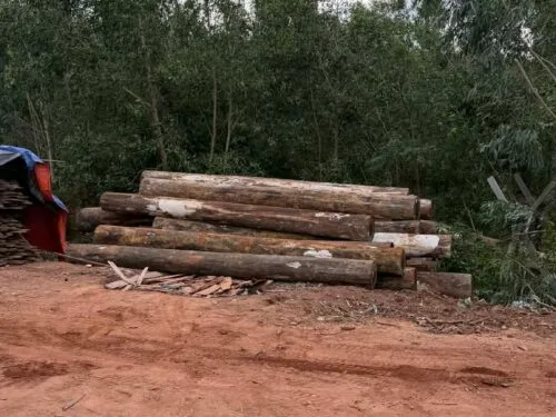 d96b20ca-2d31-495b-86d0-18c4e6dac1ca