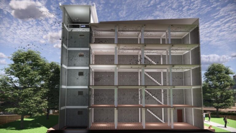 Kỹ Thuật Xây Nhà Yến Từ A-Z Cho Người Mới Bắt Đầu