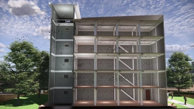 Kỹ Thuật Xây Nhà Yến Từ A-Z Cho Người Mới Bắt Đầu