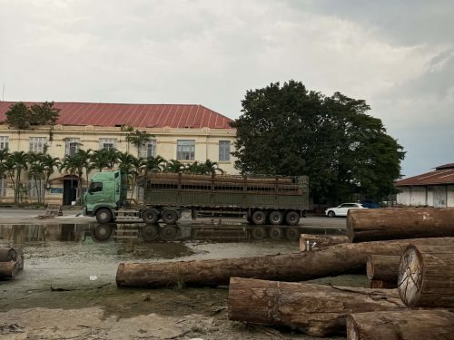 17374e13-a4df-4448-aa8e-b6de41581ca1