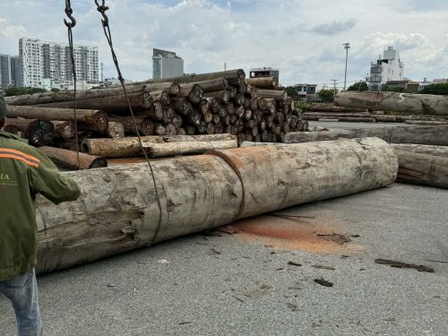 43832293-349b-4488-a564-f54d6986d644