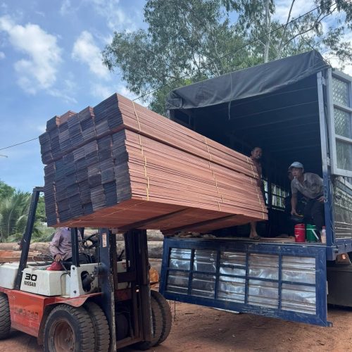 607493585_1776164053247756_9206194474221942174_n